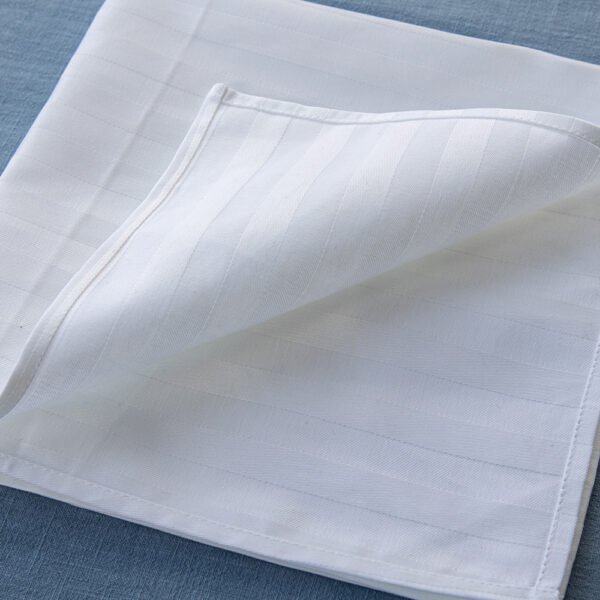1I3A5004 5 Star Hotel Napkins