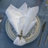 1I3A5014 5 Star Hotel Napkins