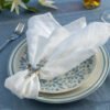 1I3A5027 5 Star Hotel Napkins