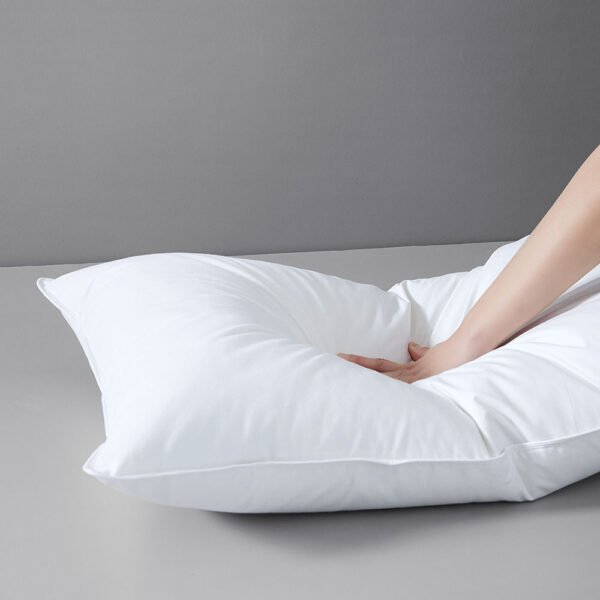 Super Soft Hotel Pillows (4) luxury Soft Hotel Pillows