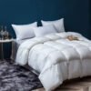 White goose down comforters (1) 100  Goose Down Duvet