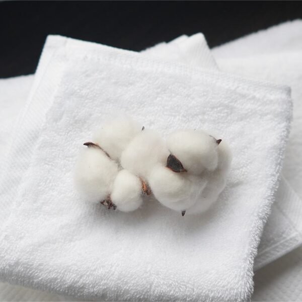 bath towel (1) 100% Cotton 5 Star Towel
